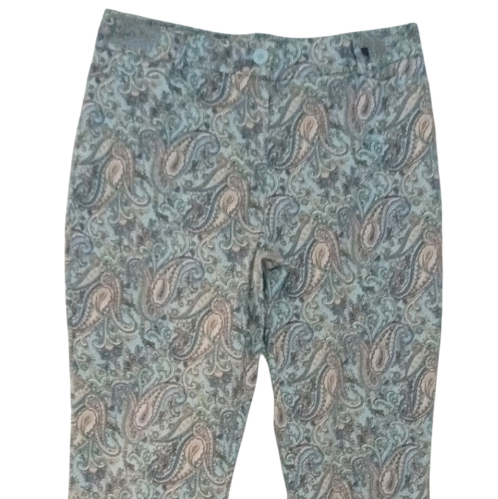 Talbots Paisley Print Pants in Blue and Tan